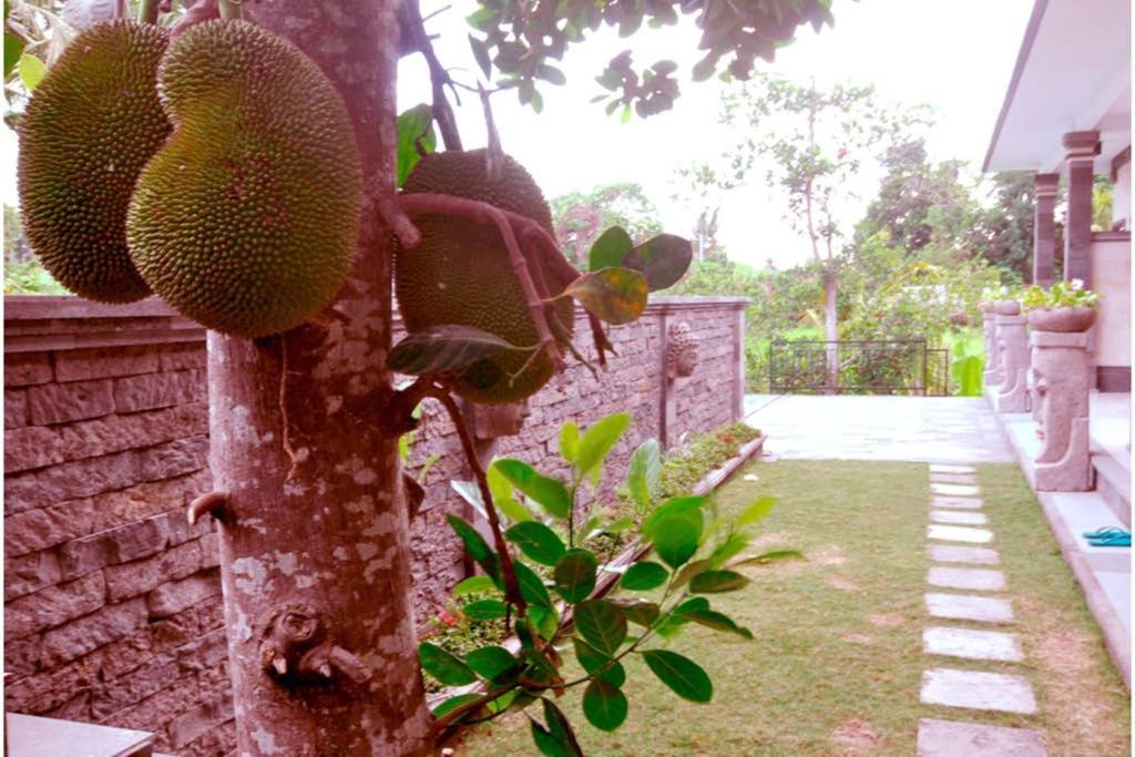 The Lod Villa ウブド エクステリア 写真